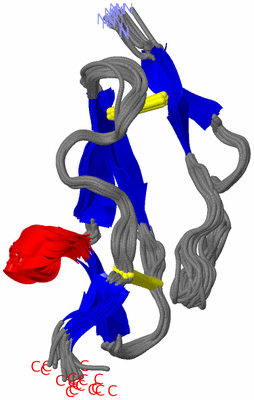 Image NMR Structure - all models