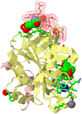 Image Asym./Biol. Unit - sites