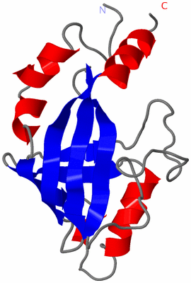 Image NMR Structure - model 1