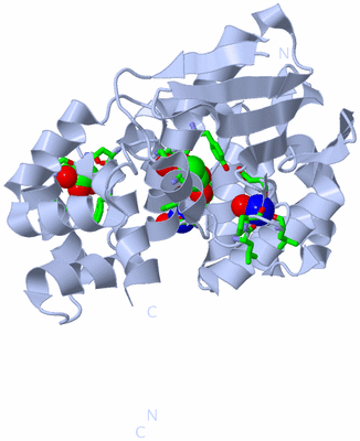 Image Biol. Unit 1 - sites