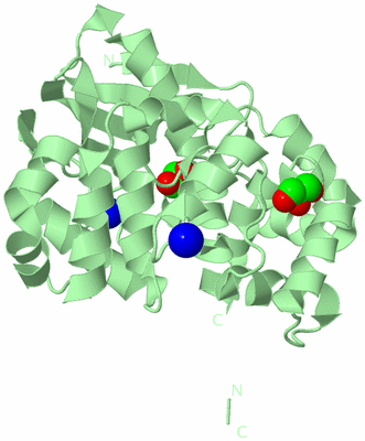 Image Biological Unit 2