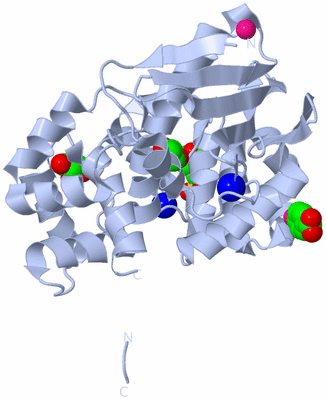 Image Biological Unit 1