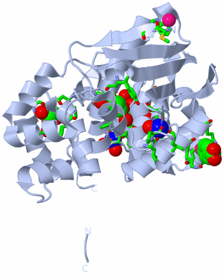 Image Biol. Unit 1 - sites