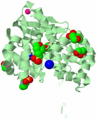 Image Biological Unit 2