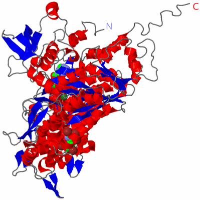 Image Asym./Biol. Unit