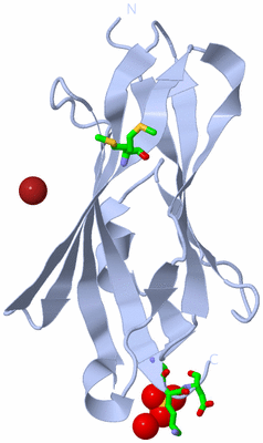 Image Biol. Unit 1 - sites