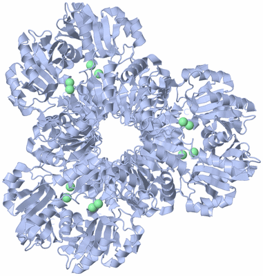 Image Biological Unit 1