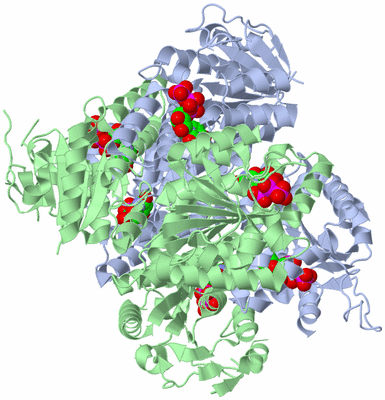 Image Biological Unit 1