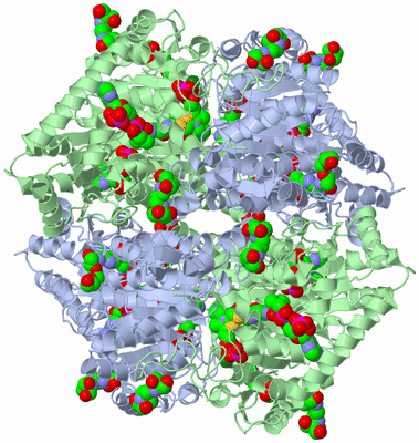 Image Biological Unit 1