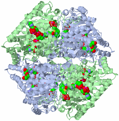 Image Biological Unit 1