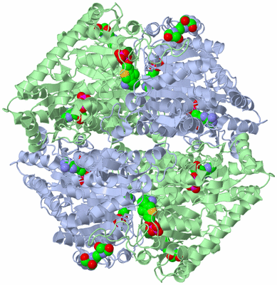 Image Biological Unit 1