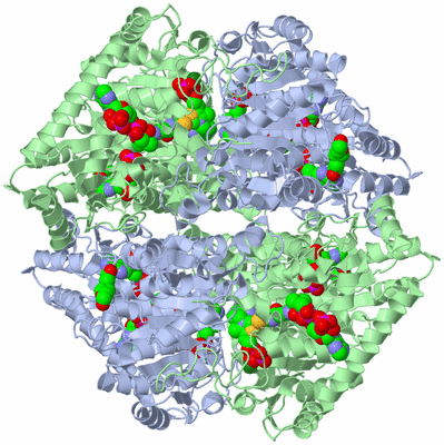 Image Biological Unit 1