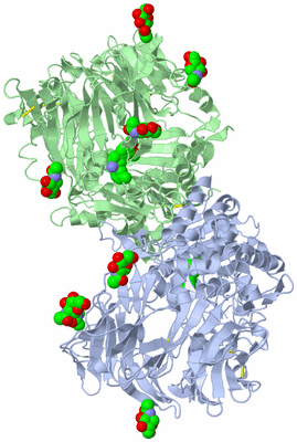 Image Asym./Biol. Unit