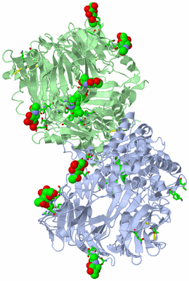 Image Asym./Biol. Unit - sites