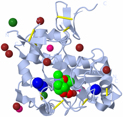 Image Biological Unit 1