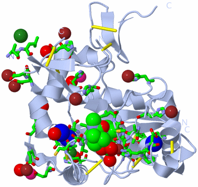 Image Biol. Unit 1 - sites