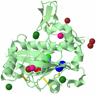 Image Biological Unit 2