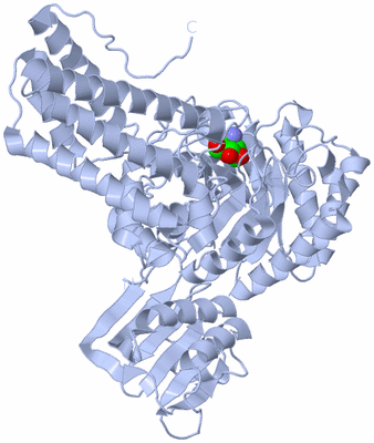 Image Biological Unit 1