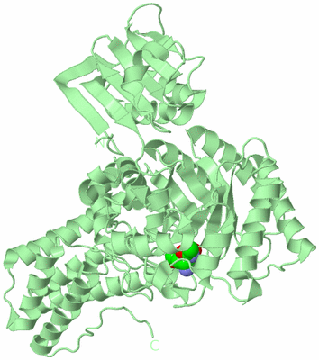 Image Biological Unit 2