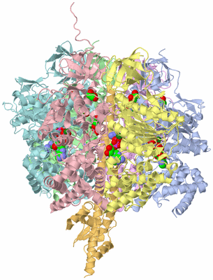 Image Biological Unit 1