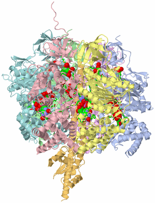 Image Biol. Unit 1 - sites