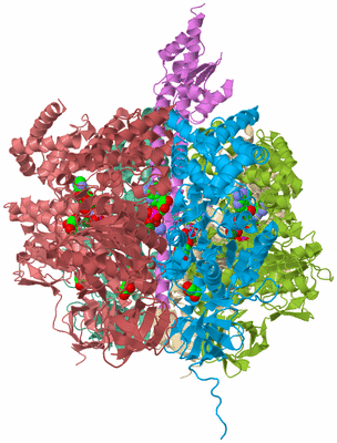 Image Biological Unit 2