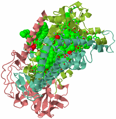 Image Asym./Biol. Unit - sites