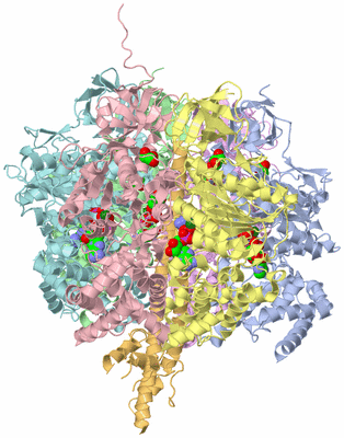 Image Biological Unit 1