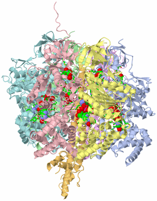 Image Biol. Unit 1 - sites