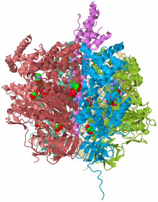 Image Biological Unit 2