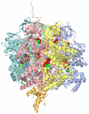 Image Biological Unit 1