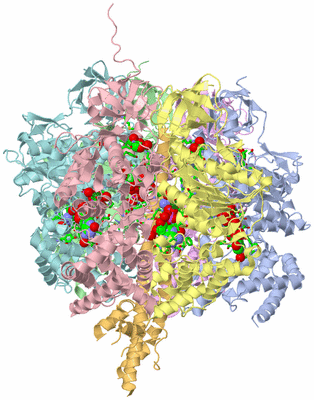 Image Biol. Unit 1 - sites