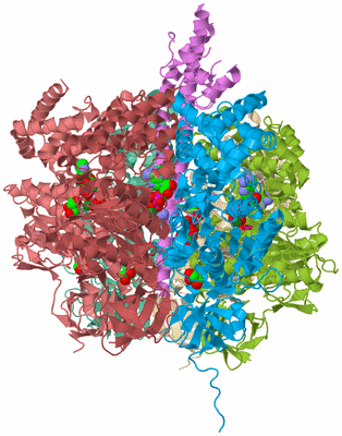 Image Biological Unit 2