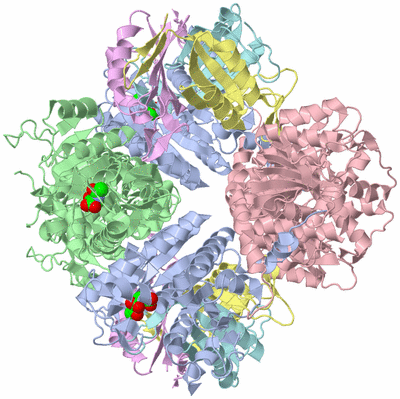 Image Biological Unit 1