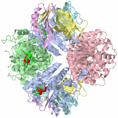 Image Biol. Unit 1 - sites