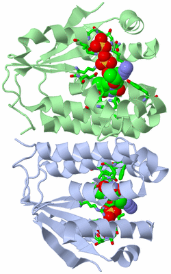 Image Biol. Unit 1 - sites