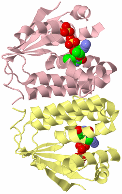 Image Biological Unit 2