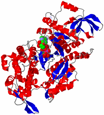 Image Asym./Biol. Unit