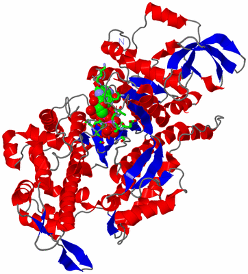 Image Asym./Biol. Unit - sites