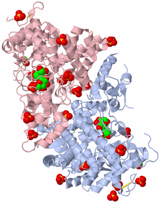 Image Biological Unit 1