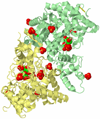 Image Biological Unit 2