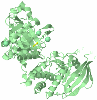 Image Biological Unit 2