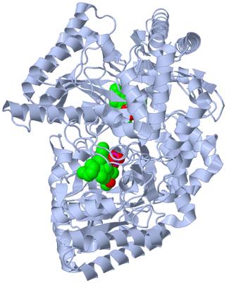 Image Biological Unit 1