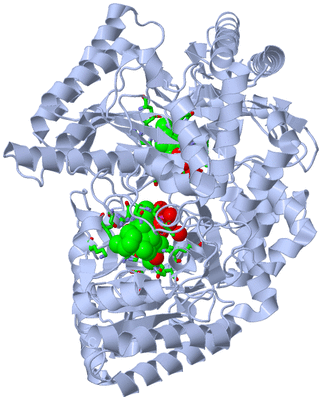 Image Biol. Unit 1 - sites