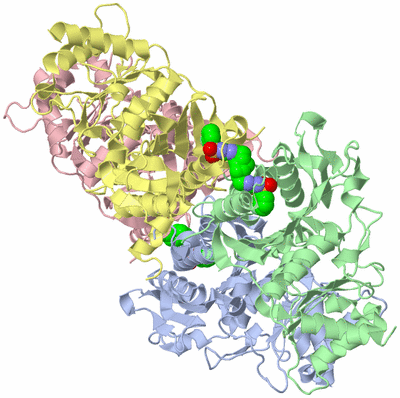 Image Asym./Biol. Unit