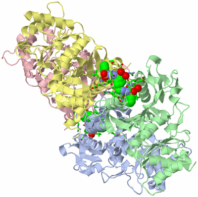 Image Asym./Biol. Unit - sites