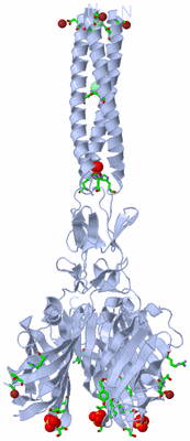 Image Biol. Unit 1 - sites