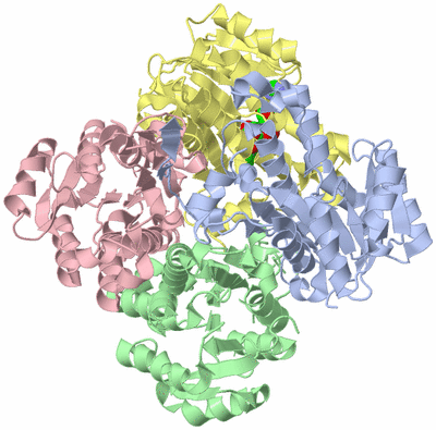 Image Asym./Biol. Unit