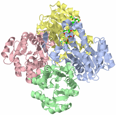 Image Asym./Biol. Unit - sites