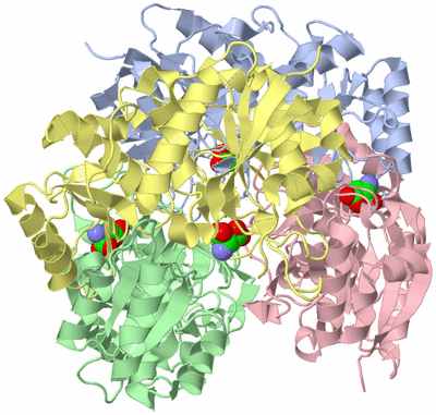 Image Biological Unit 1